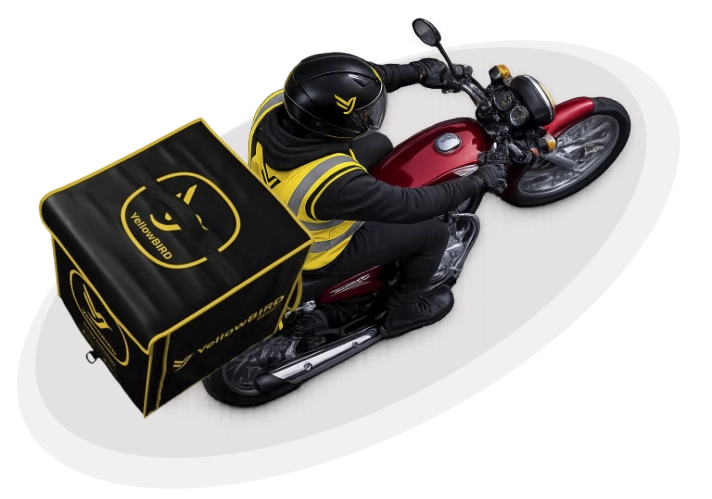 Top Vie rider3